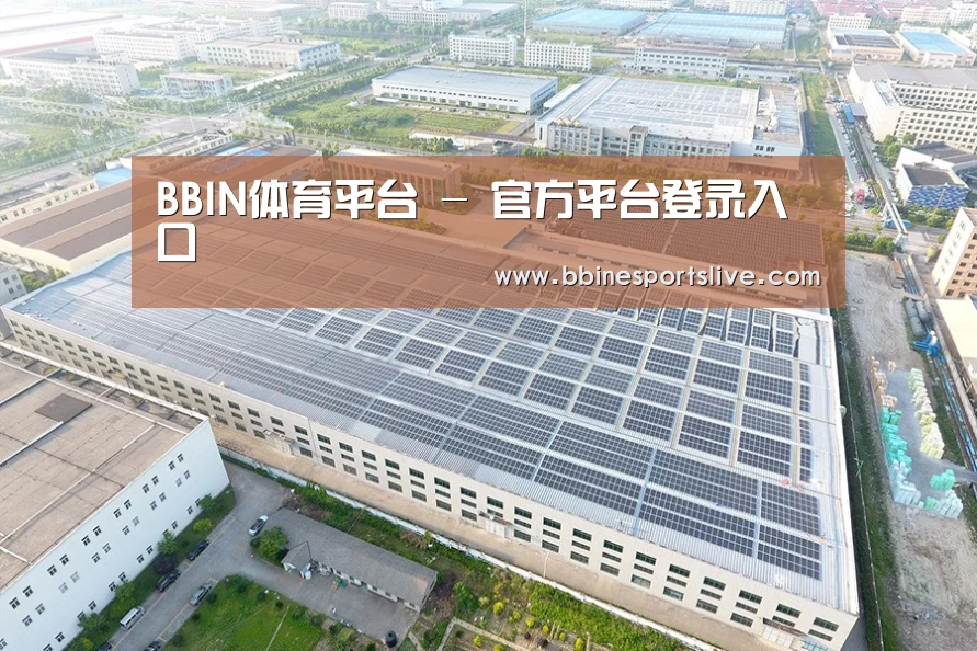 案例展示二