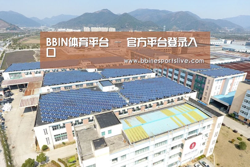 案例展示二