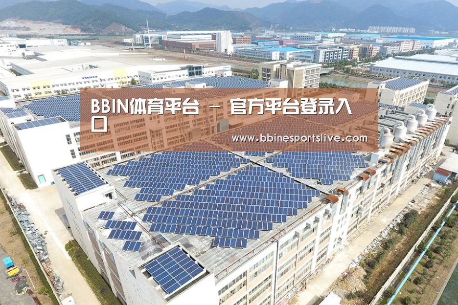 案例展示一
