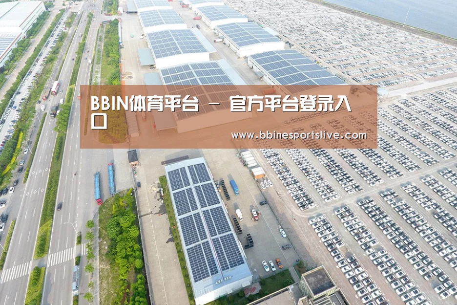 案例展示一