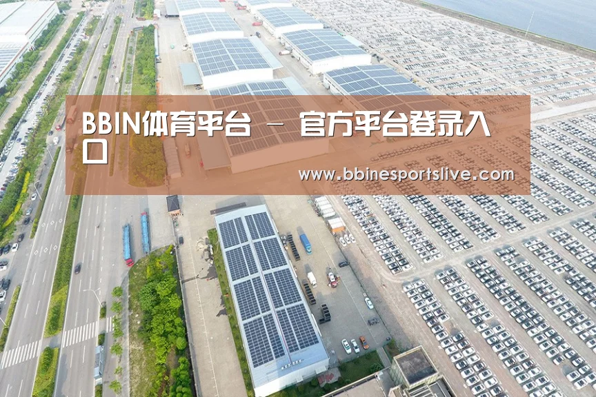 案例展示四