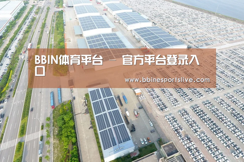 案例展示三