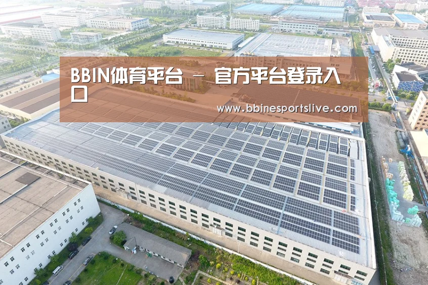 案例展示四