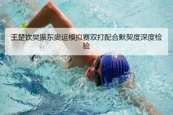 王楚钦樊振东奥运模拟赛双打配合默契度深度检验