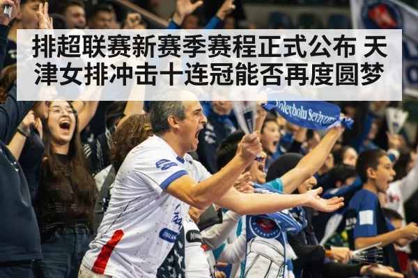 volleyball arena crowd